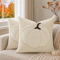 Farmhouse Fall Pumpkin Pillow Covers